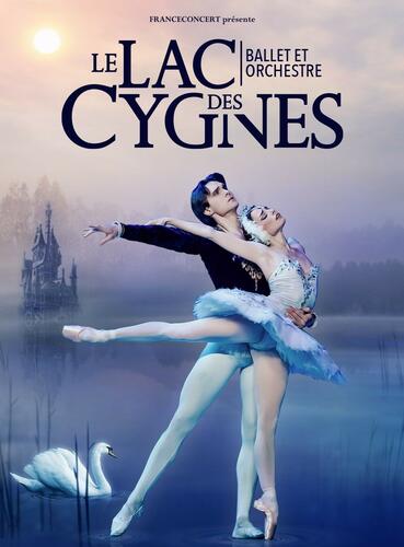 Sortie Studium "Le Lac des Cygnes"'